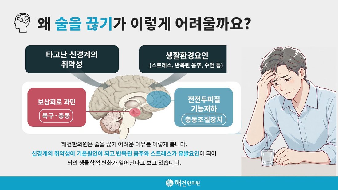 알콜중독의 원인에 대한 해건한의원의 설명 그림