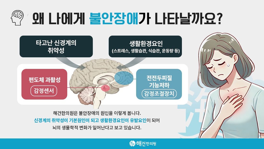불안장애의 원인에 대한 해건한의원의 설명 그림