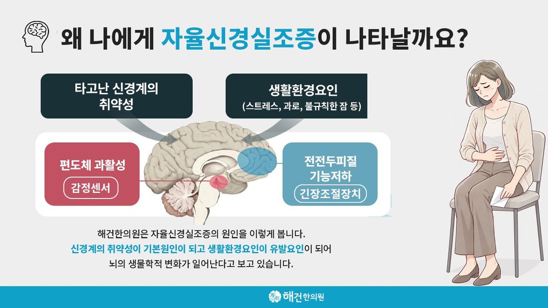 자율신경실조증의 원인에 대한 해건한의원의 설명 그림