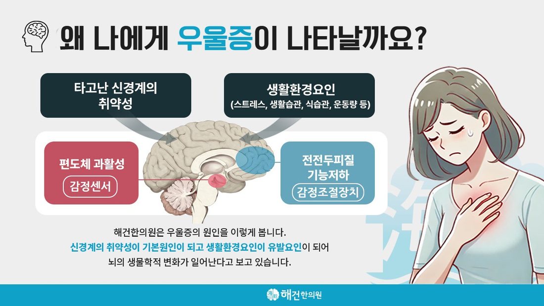 우울증의 원인에 대한 해건한의원의 설명 그림